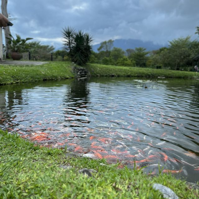 理想大地