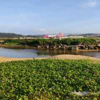 #หาดไม้ขาว #หาดสนามบิน @ภูเก็ต