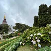 Doi Inthanon Chiangmai Thailand
