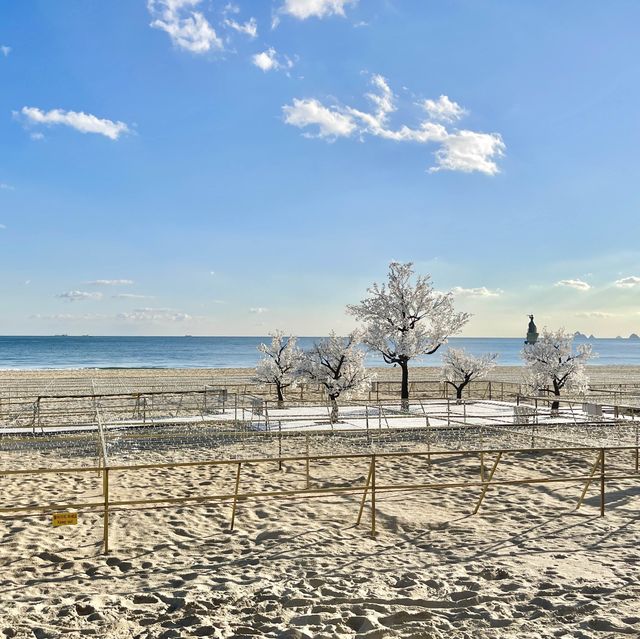 부산 해운대 해수욕장 🏝