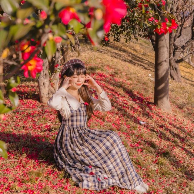 🌺비행기없이 부산에서 동백을 만날 수 있는곳 [부산, 사상 강변대로]🌺