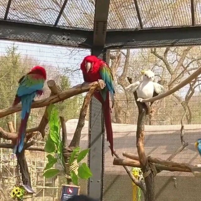 主題樂園🤓