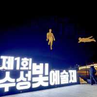 [대구] 수성못, 수성빛예술제