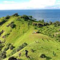 PENGILON HILL YOGYAKARTA