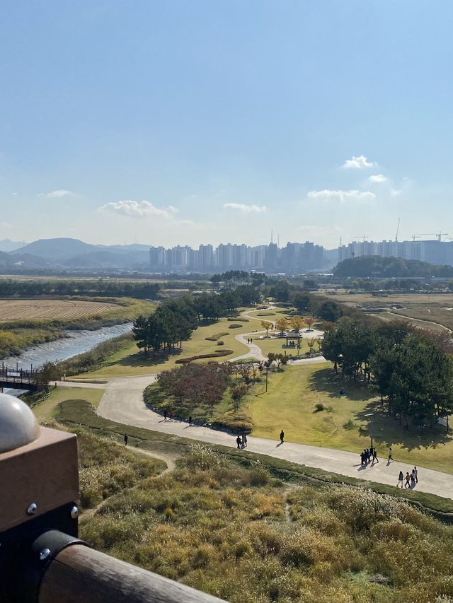 💐🍂 경기도 시흥 갯골생태공원에서 감상한 핑크뮬리 🍂💐