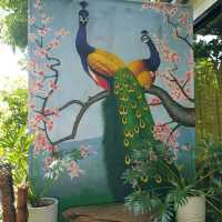 Oasis Café ป่ากลางเมือง พิษณุโลก