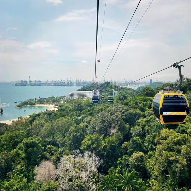 A birds eye view of Sentosa in cable car 