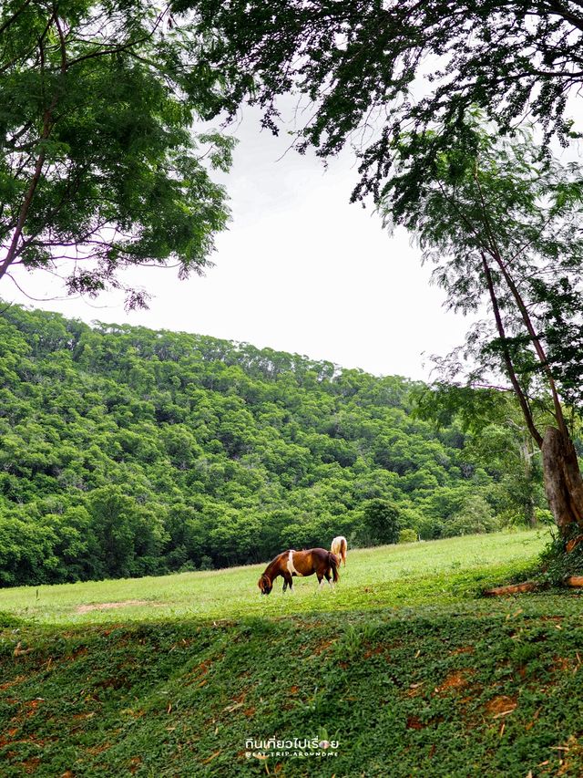 เล่นกิจกรรมสนุกๆ ที่ไร่ทองสมบูรณ์คลับ🏎🌳