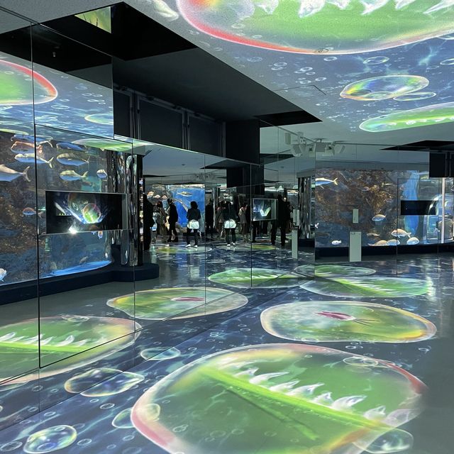 石川県　のとじま水族館