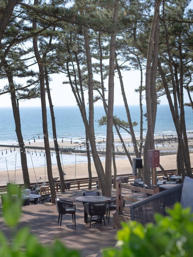 🏝태안 꽃지해수욕장 오션뷰 리조트 아일랜드 리솜