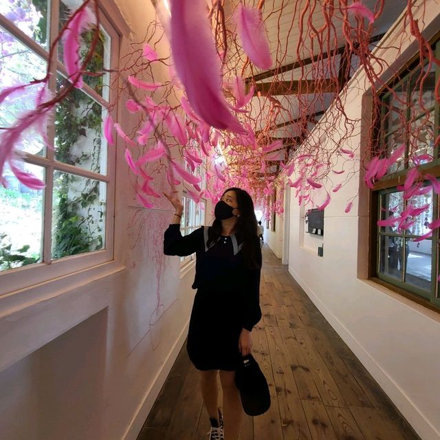 인생샷 가능한 당진 아미미술관