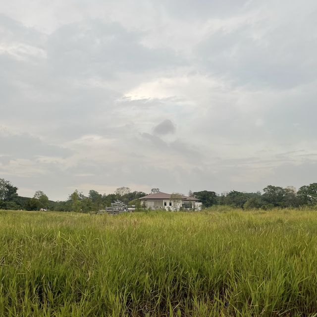 A walk in the park at Jurong Lake Gardens 