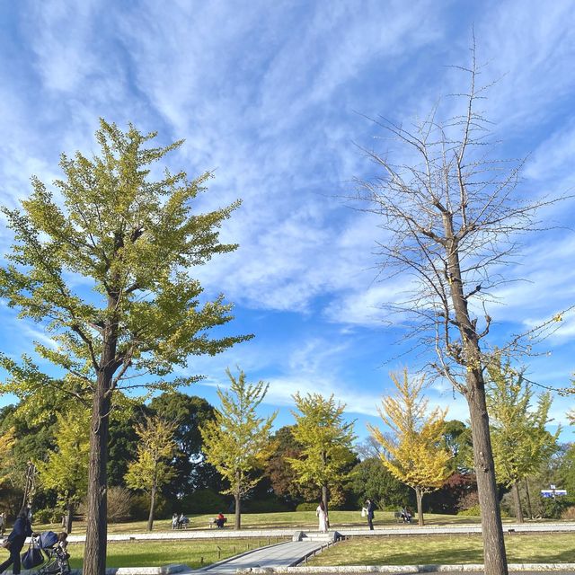 東京　国営昭和記念公園