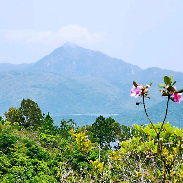 老虎騎石、斜樓嶺墩、大山峒、石屋山