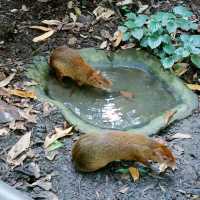 Trip to River Wonders