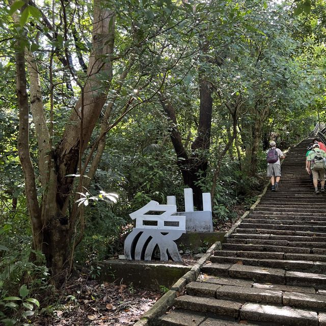一早登頂象山｜30分鐘搞定、超級爆汗、臺北城市景觀好美