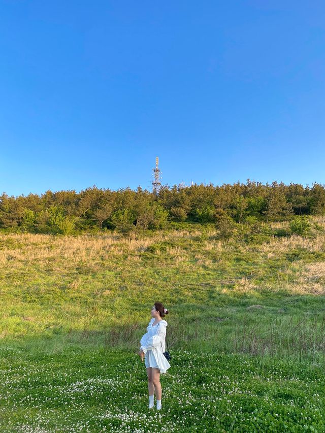 제주 서쪽 노을 명소, '금오름'