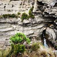 The Tasmania Sea Cliffs Lookout 