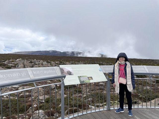 Amazing view on Mount Wellington