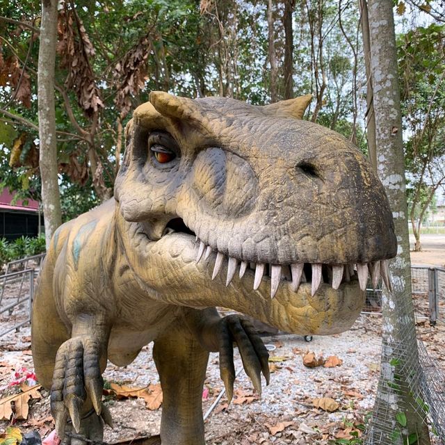 Don Hu Jurassic Park Muar