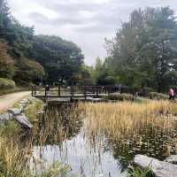 Best botanical garden in Seoul