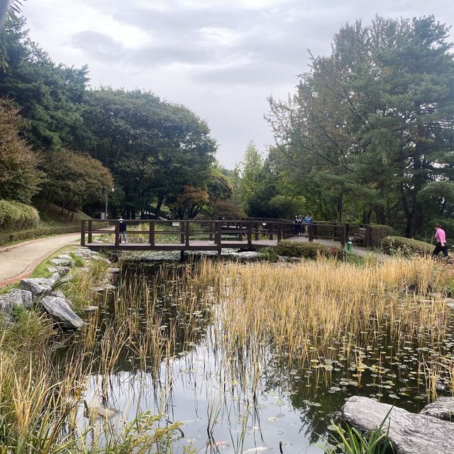 Best botanical garden in Seoul
