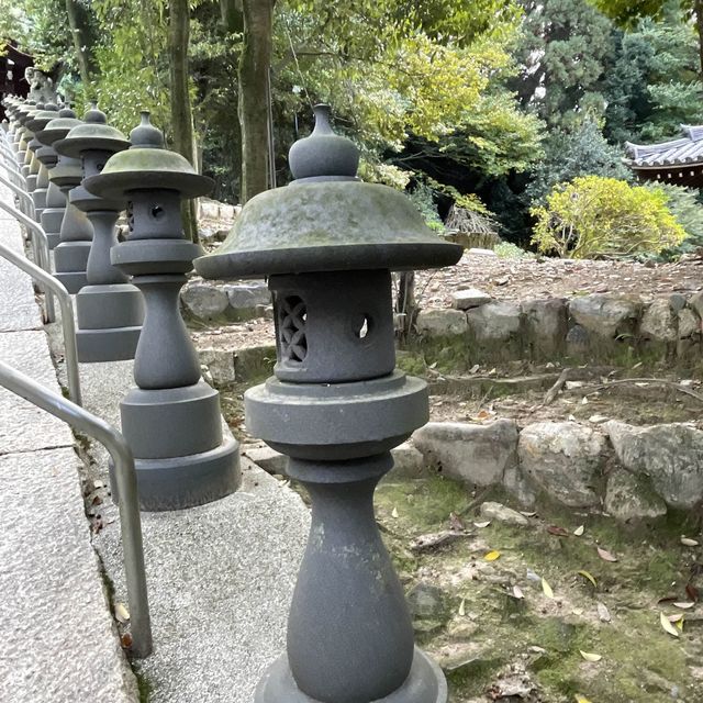 【京都府】5社を祀る不思議な神社へ