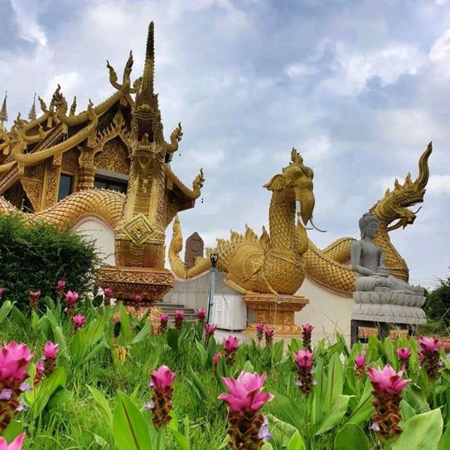 วัดสีทองศูนย์รวมพลังศรัทธาของคนชัยภูมิ 