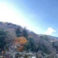 日本京都嵐山