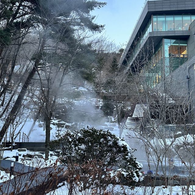 숲 속 한가운데에서 온천 즐기는 해브나인 스파🧖‍♀️