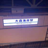 大井競馬場 東京メガイルミ【東京都/品川区】