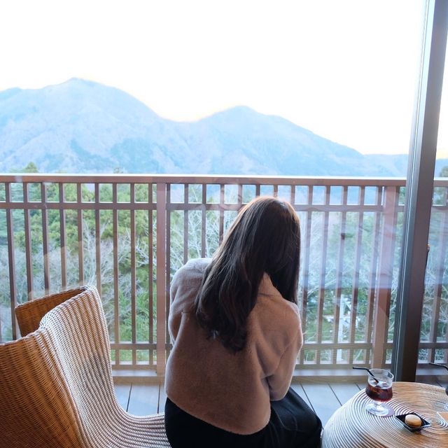 日本🇯🇵箱根獨立風吕配景色一流的風景
