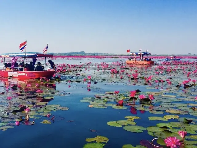 RED LOTUS SEA 