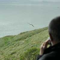 The Royal Albatross Centre 