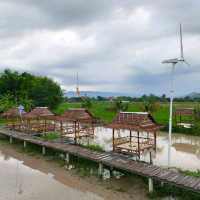 กลางนาคาเฟ่

 นครนายก