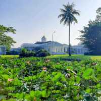 Bogor Botanical Garden