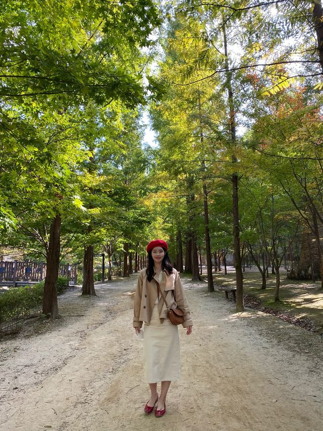 대전 사람들은 모르는 대전 최고 관광지! 상소동 산림욕장