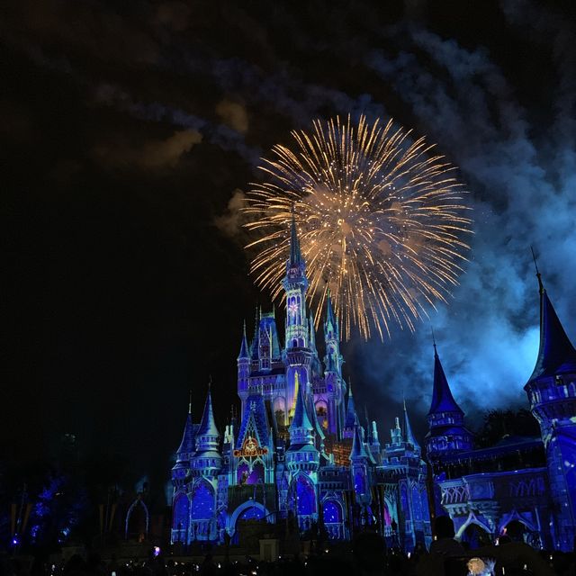 매직킹덤 Happily ever after 불꽃놀이🎇