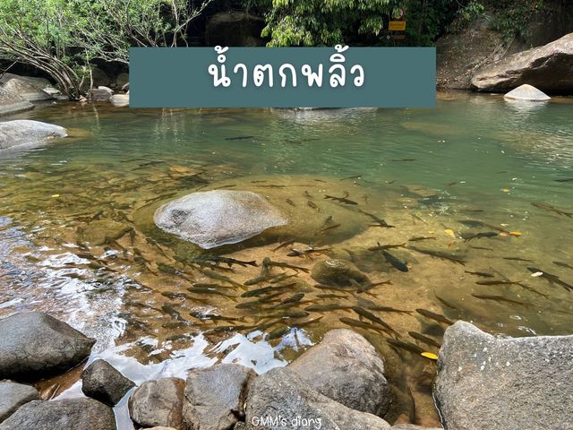 เที่ยวจันทบุรีแบบกรีนๆ สไตล์คนรักธรรมชาติ