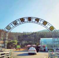 도심 속 자연 놀이터, 용인 '동천자연식물원'