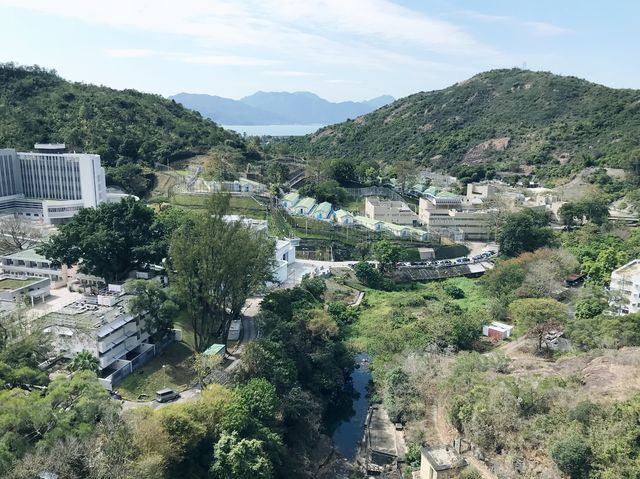 大欖郊野公園