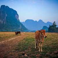 Time To Visit Laos - Vang Vieng 