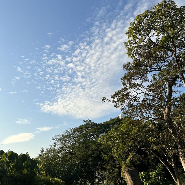 馬灣後花園