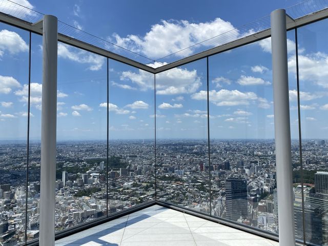 渋谷地上46階の景色