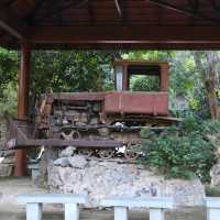 寧平必玩景點--松芽鳥類生態旅遊區Khu du lịch sinh thái Thung Nham - Ninh Bình