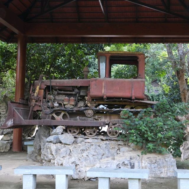 寧平必玩景點--松芽鳥類生態旅遊區Khu du lịch sinh thái Thung Nham - Ninh Bình