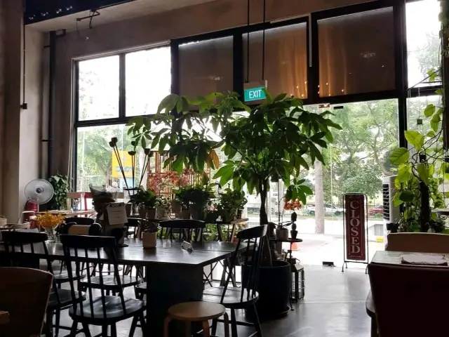 Knots Cafe & Living
