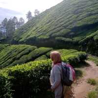 Hiking in the higlands of Munnar