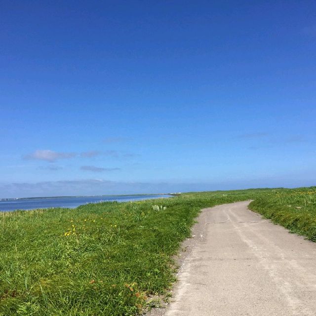 【北海道 根室】美しい風蓮湖✨