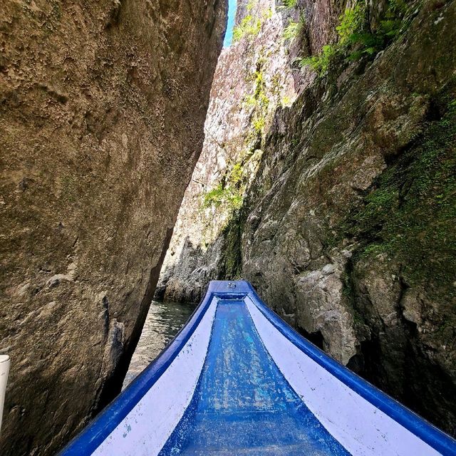 瀞峡巡り川舟観光【かわせみ】⭐